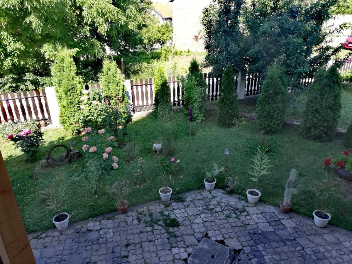 Apartmani Tvins Soko Banja Exteriör bild