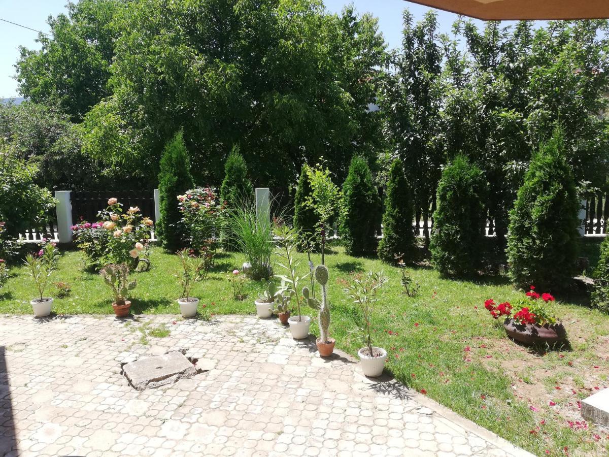Apartmani Tvins Soko Banja Exteriör bild