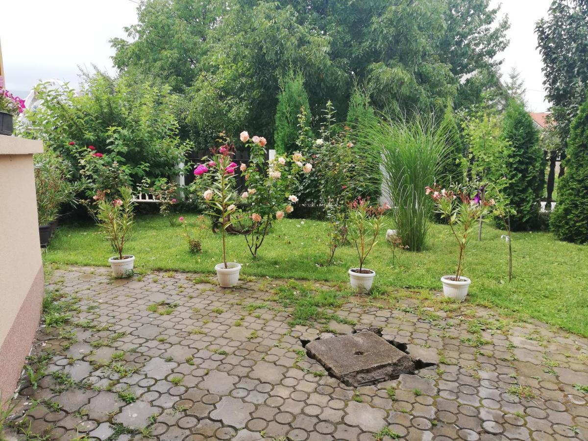 Apartmani Tvins Soko Banja Exteriör bild