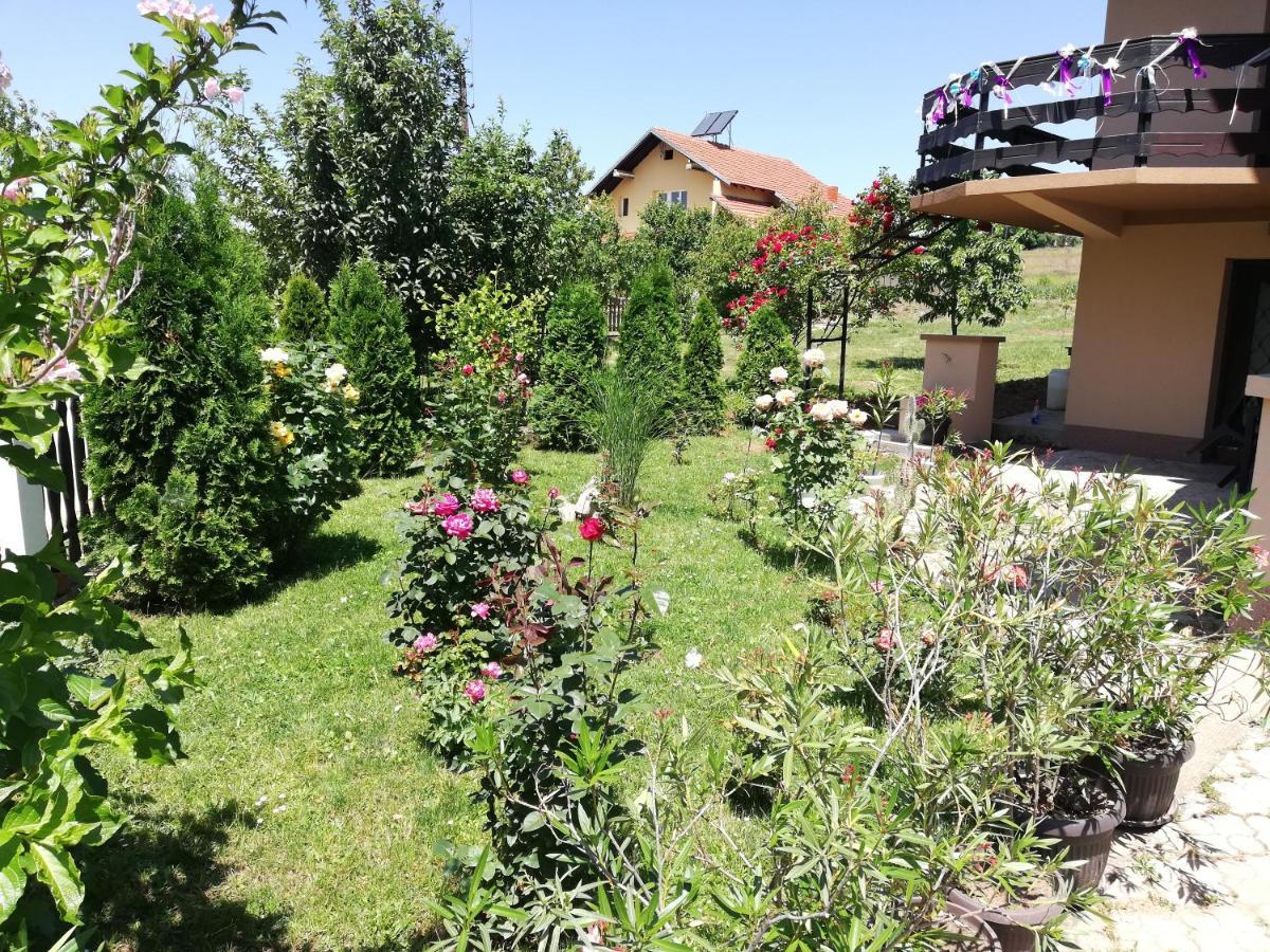 Apartmani Tvins Soko Banja Exteriör bild