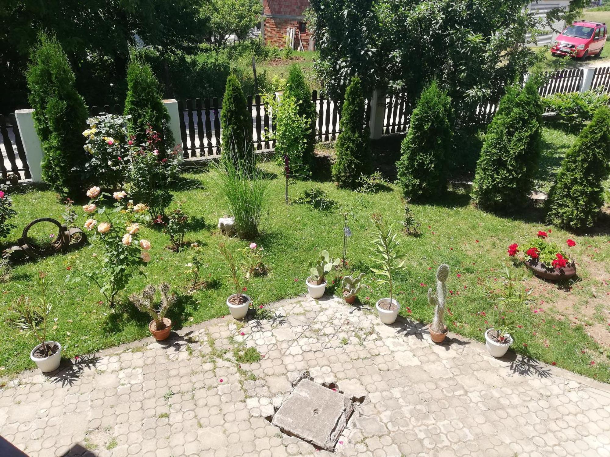 Apartmani Tvins Soko Banja Exteriör bild